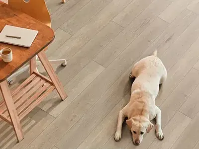 Vision Flooring past work