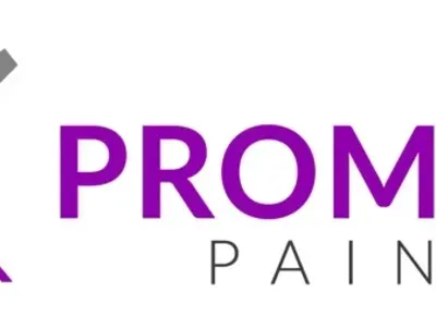Prominent Painters past work